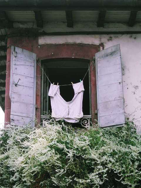 Image 16