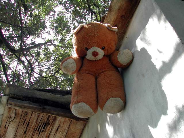 Image 22