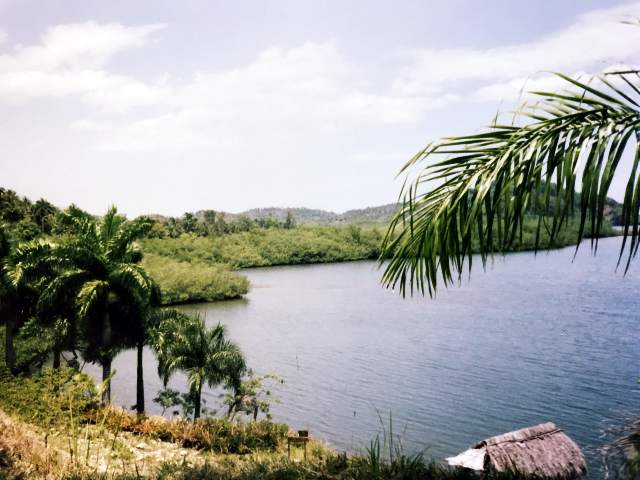 Image 17