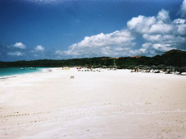 Image 21