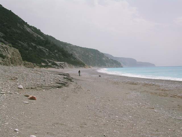 Image 30