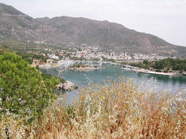 Image 7