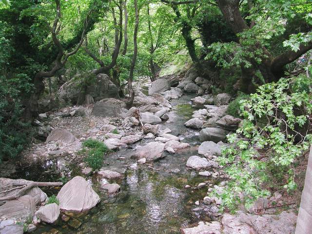Image 18