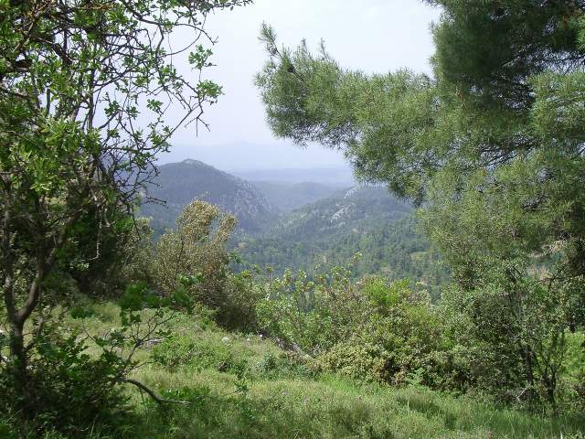 Image 30