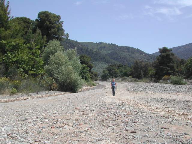 Image 31