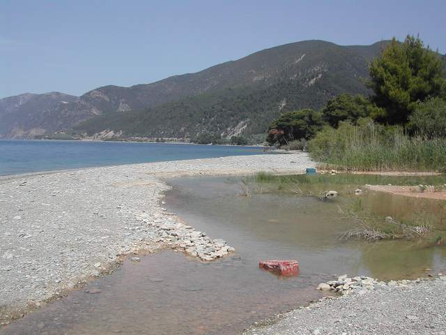 Image 32