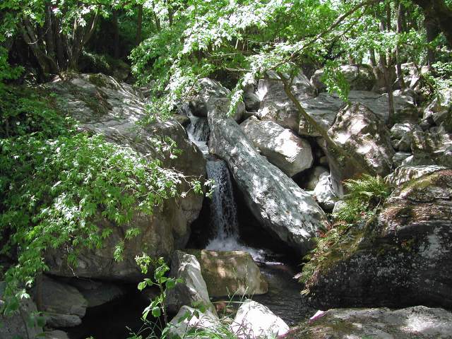 Image 44