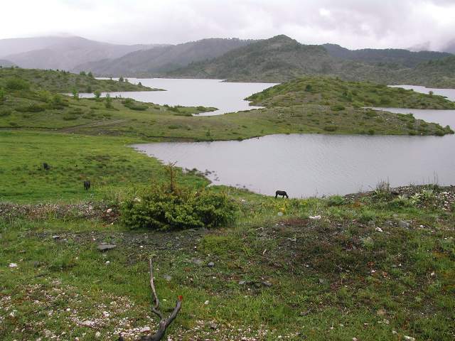 Image 55
