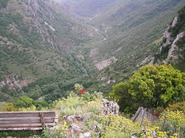 Image 62