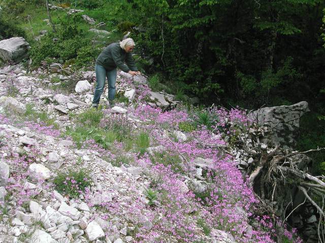 Image 69