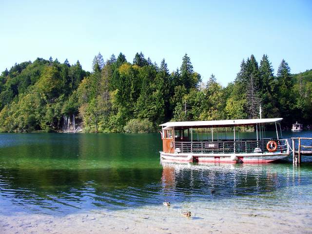 Image 15