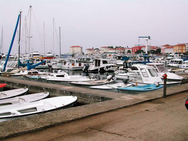 Image 35