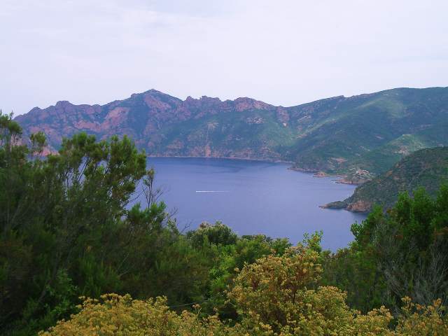 Image 15