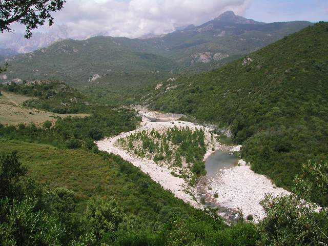 Image 24