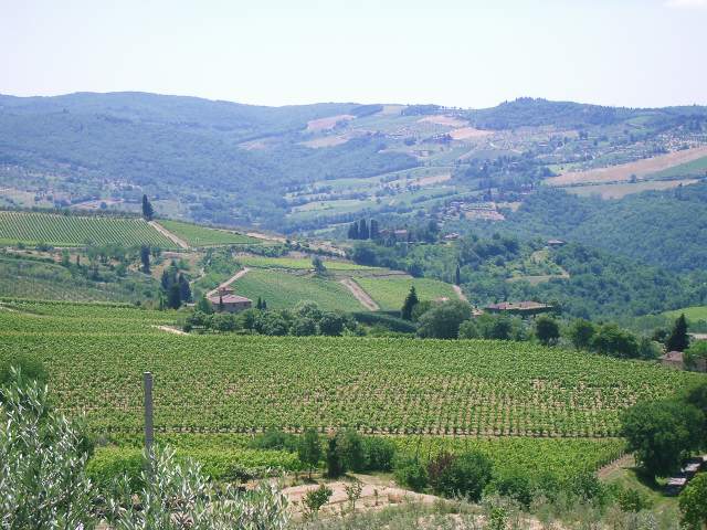 Image 37