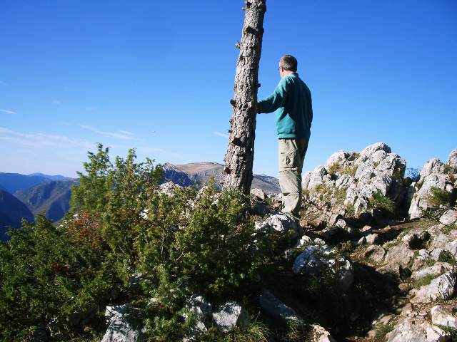 Image 12