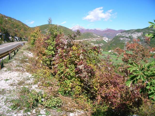 Image 13