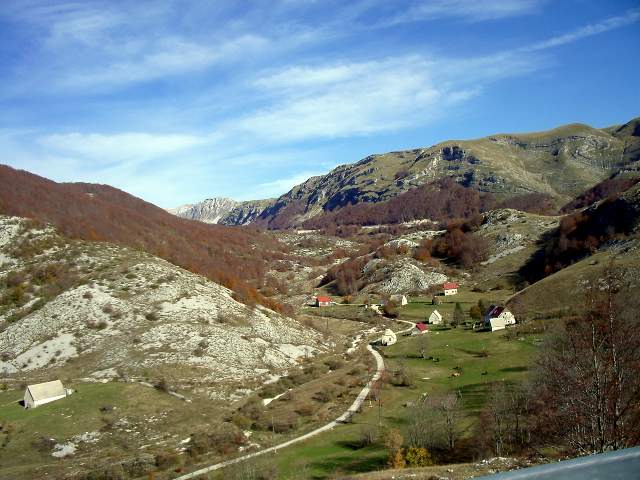 Image 19