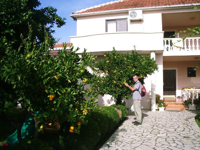 Image 29
