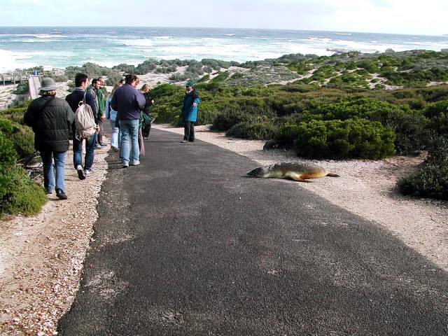 Image 13