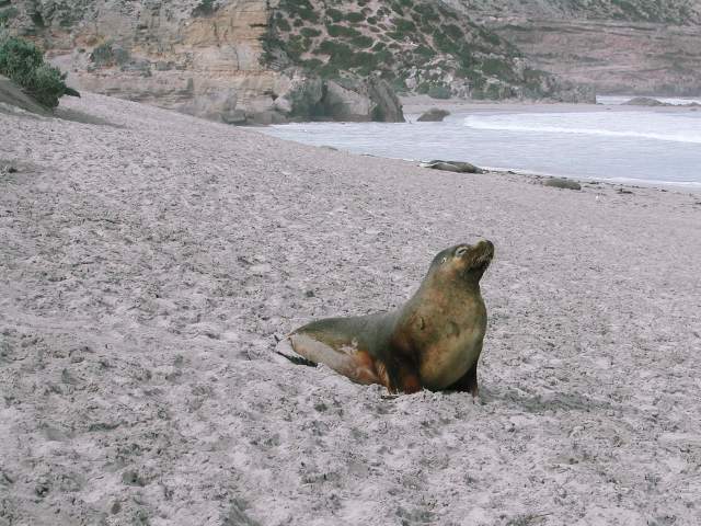 Image 15