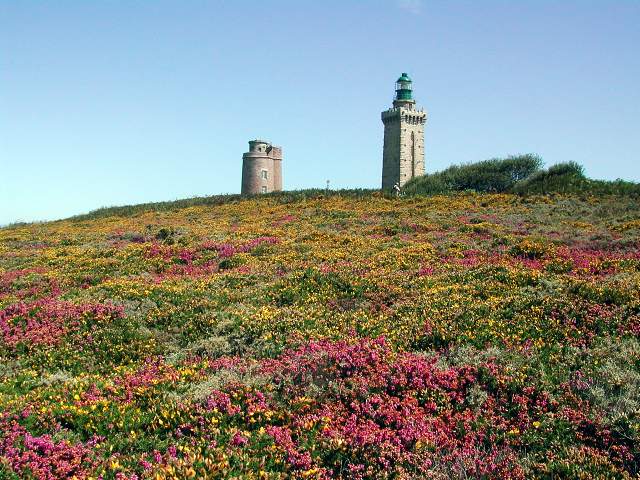 Image 13