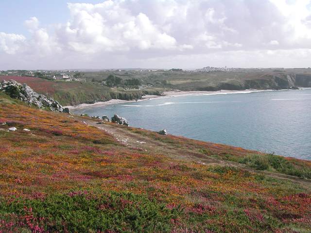 Image 15