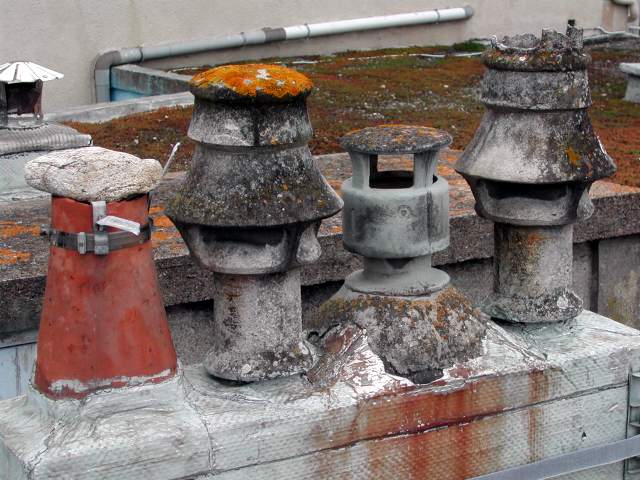 Image 16
