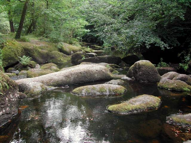 Image 27