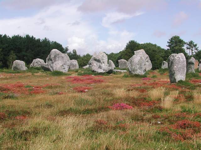 Image 33