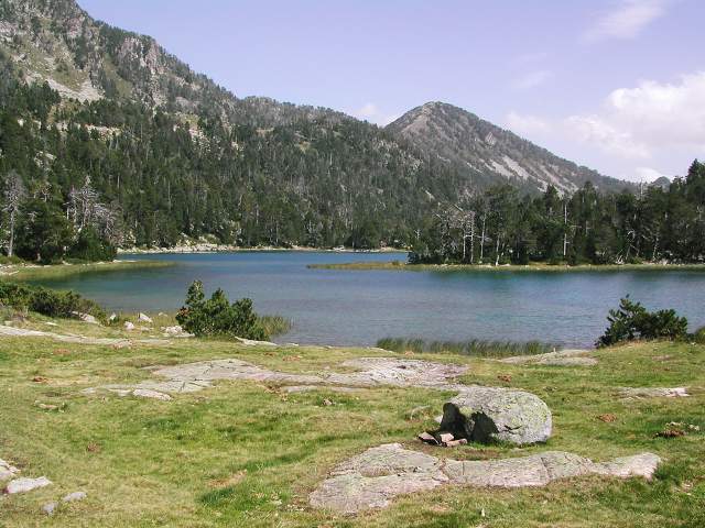 Image 15