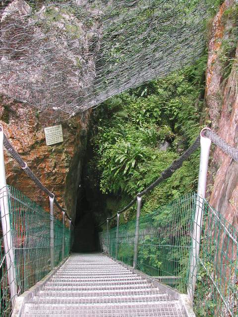 Image 33