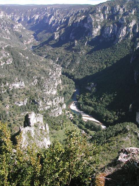 Image 35