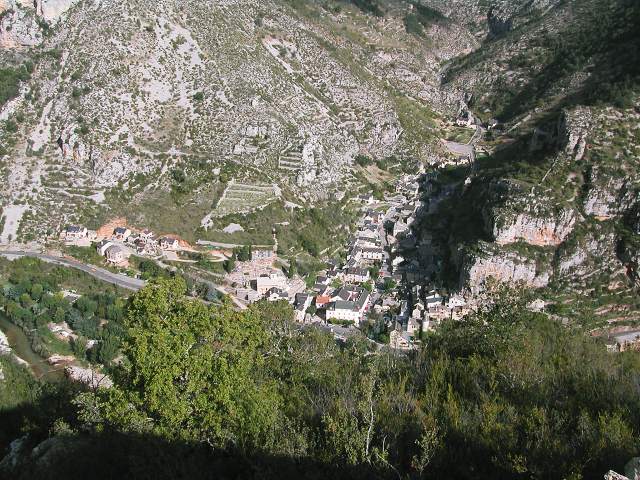 Image 36